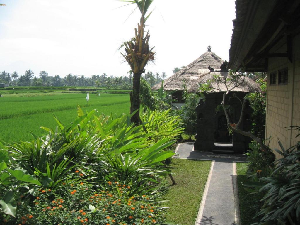 Terang Bulan Cottages Ubud Buitenkant foto