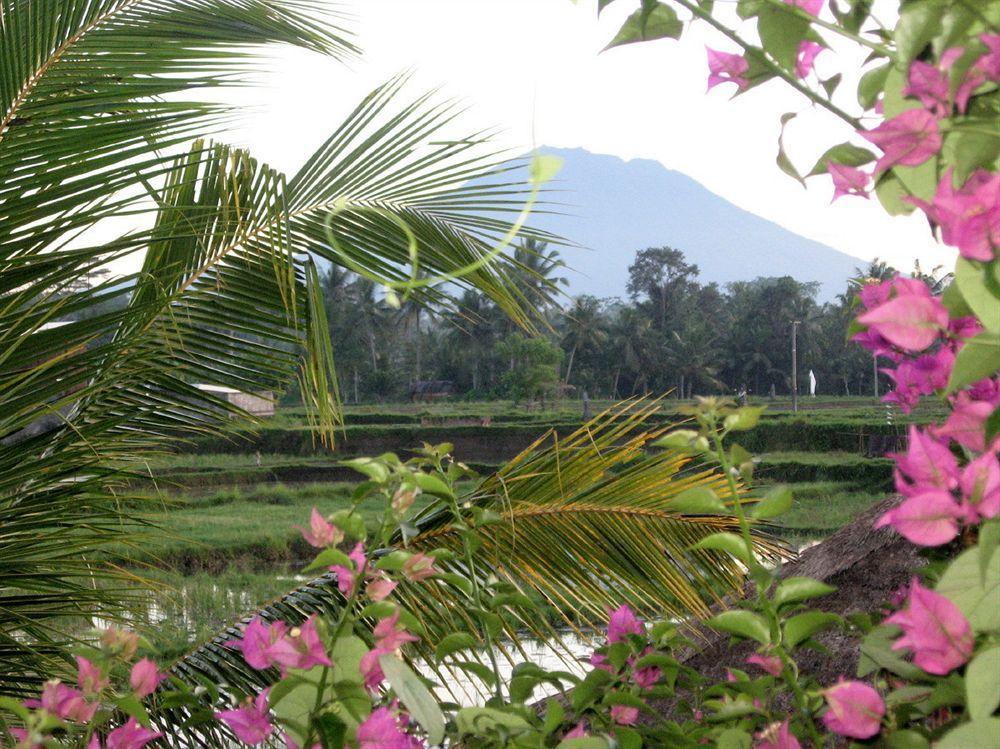 Terang Bulan Cottages Ubud Buitenkant foto