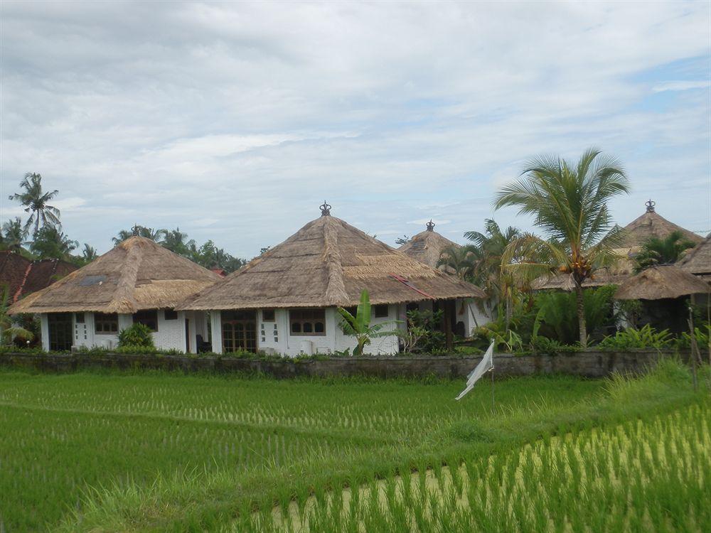 Terang Bulan Cottages Ubud Buitenkant foto