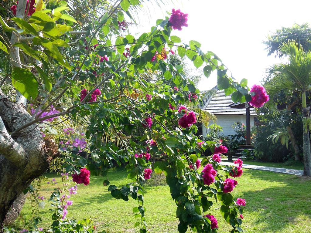 Terang Bulan Cottages Ubud Buitenkant foto